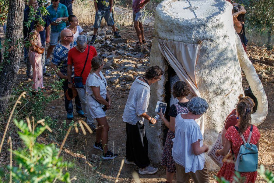 Visites comentades pels artistes