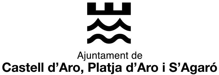 Sponsor