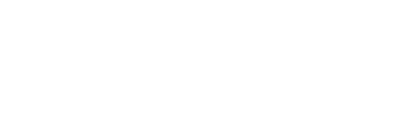 Sponsor